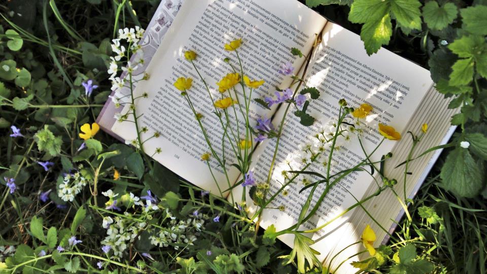 Lenkje til artikkel: Sommar på Haramsbiblioteka - 2026