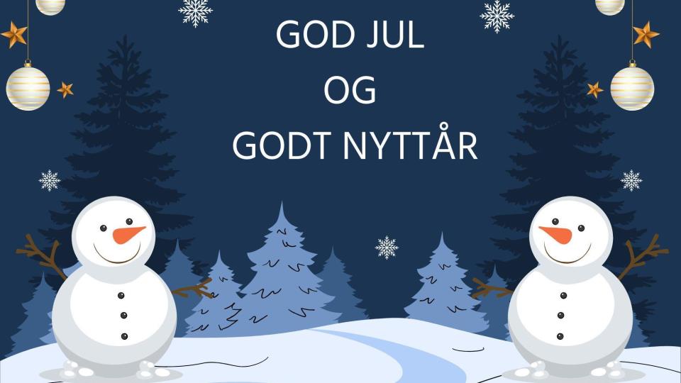Lenkje til artikkel: Opningstid - jula 2025