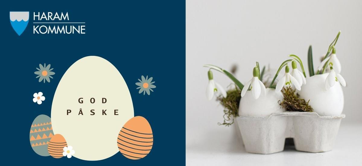 Kombinasjon av påskeillustrasjon og foto av snøklokker planta i eggekartong - Klikk for stort bilete